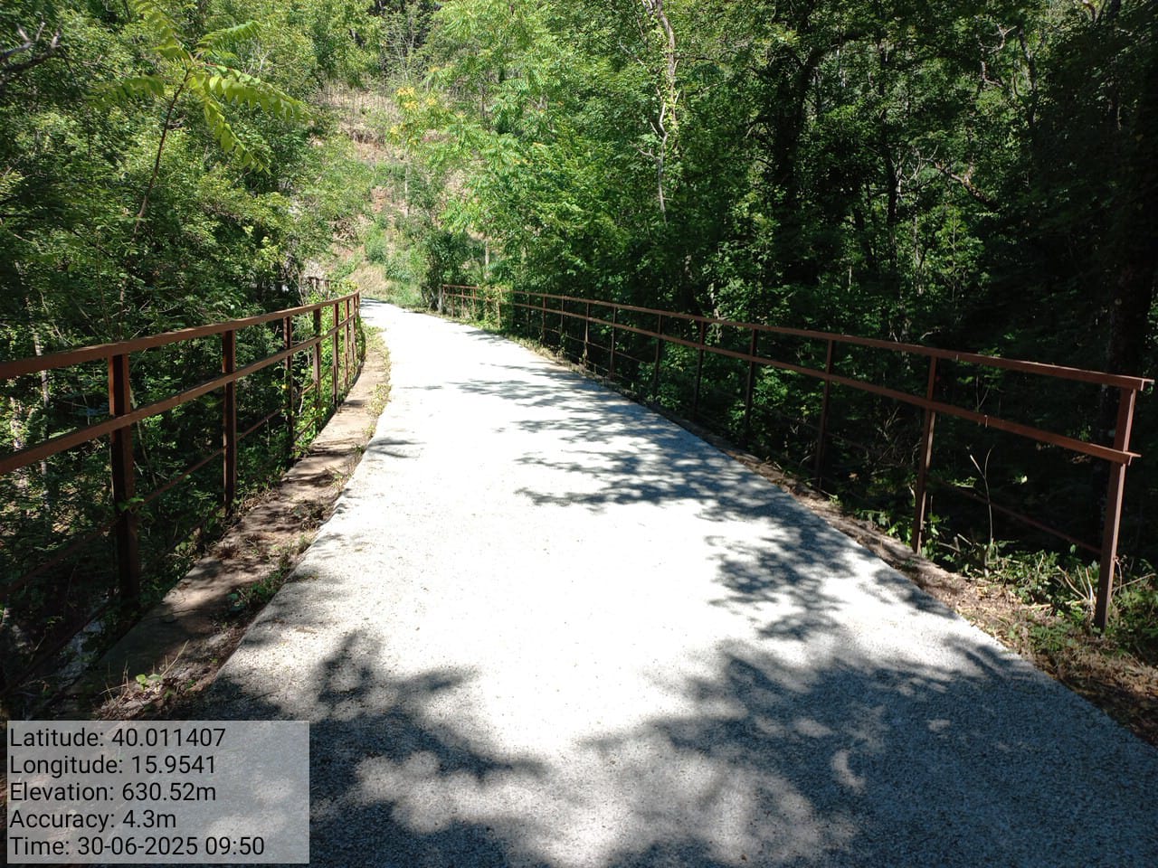 Galleria Fotografica Immagine