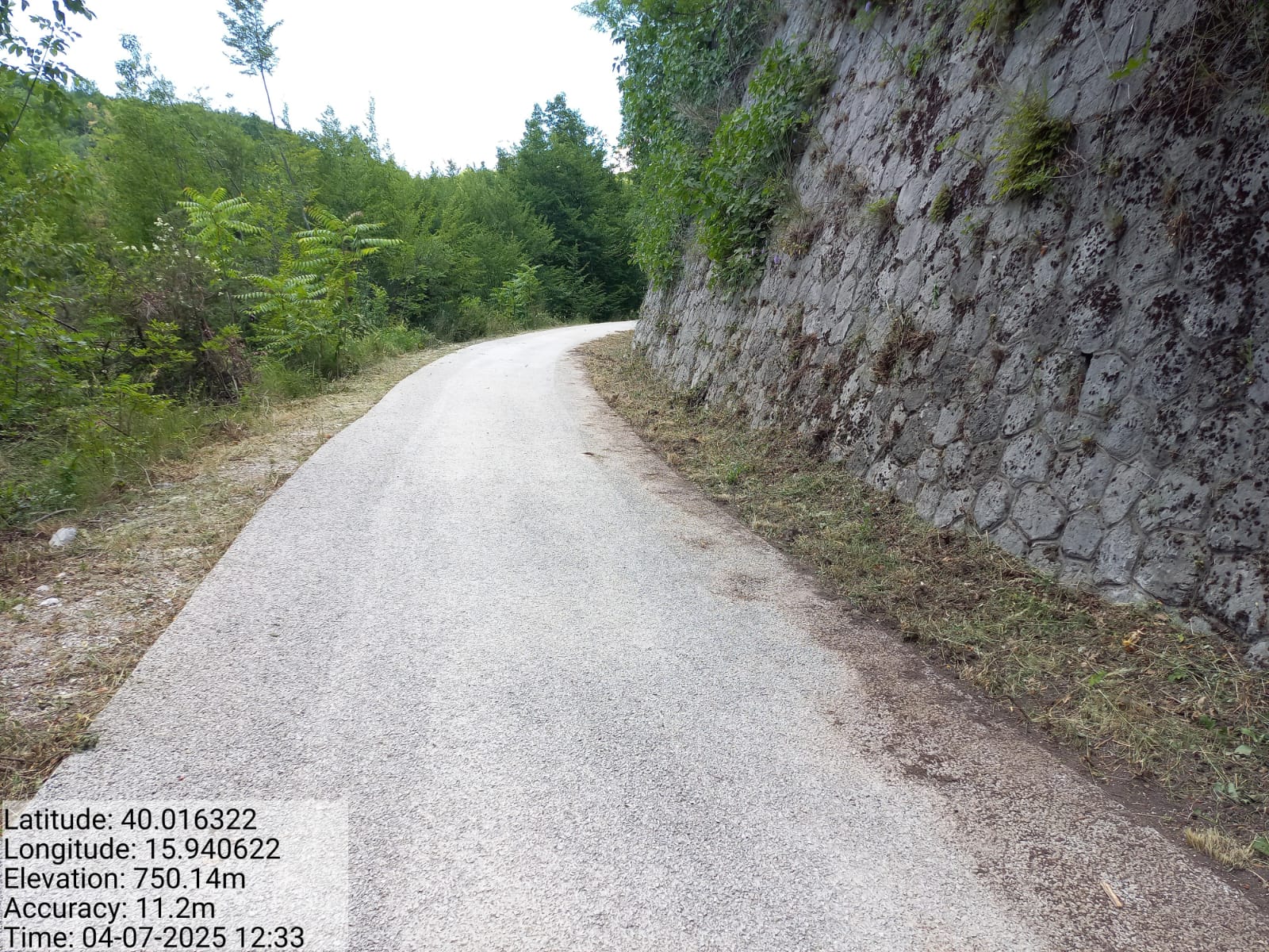 Galleria Fotografica Immagine