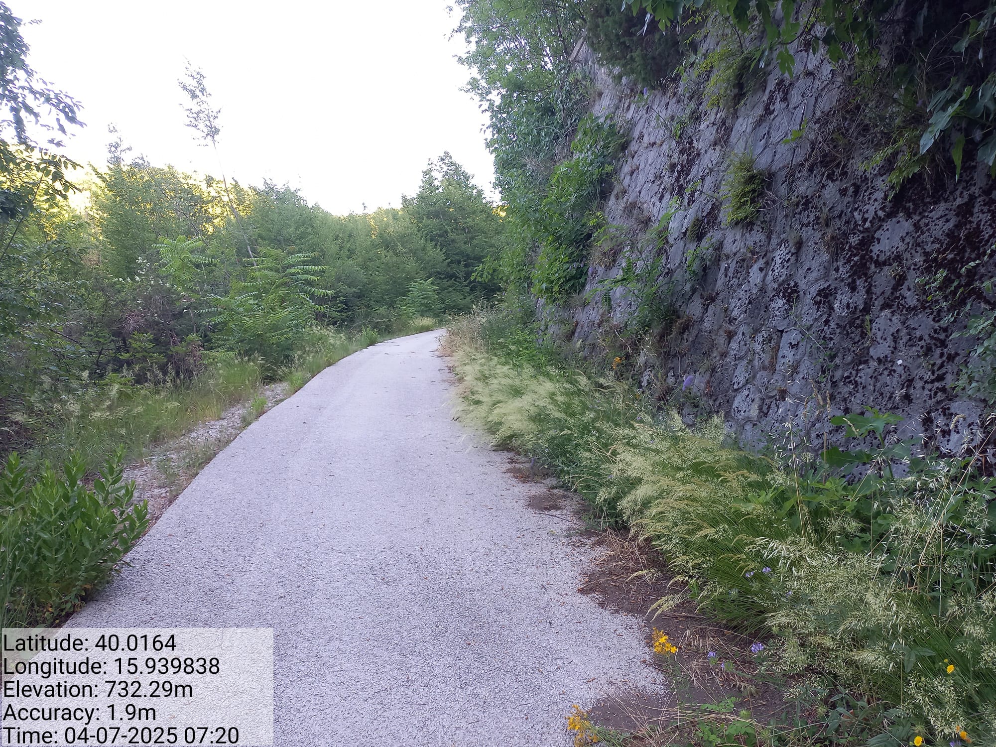 Galleria Fotografica Immagine