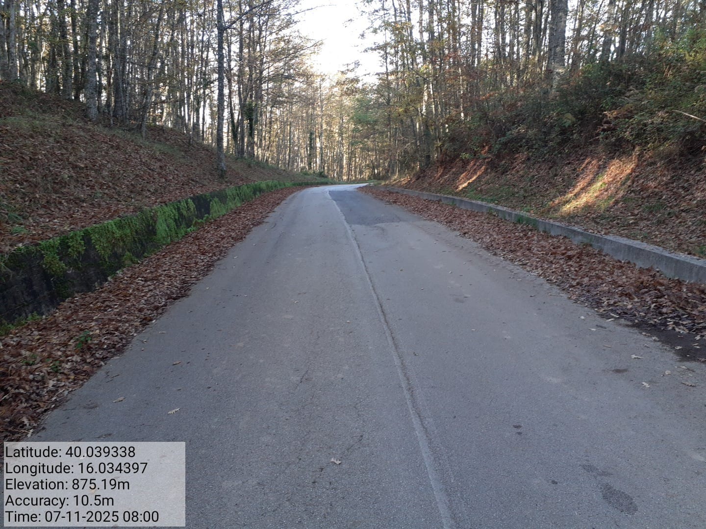 Galleria Fotografica Immagine