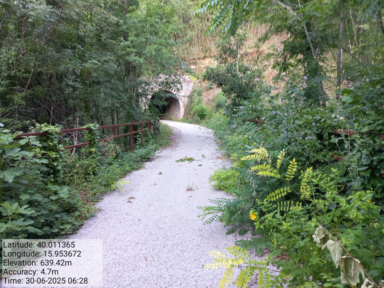 Galleria Fotografica Immagine