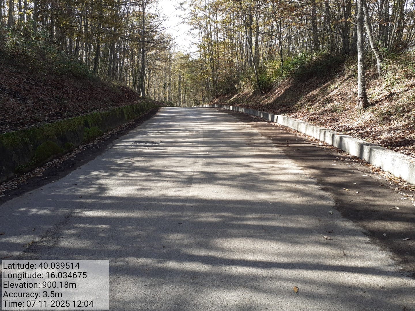 Galleria Fotografica Immagine