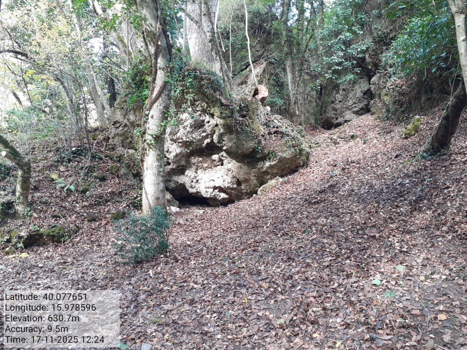 Galleria Fotografica Immagine