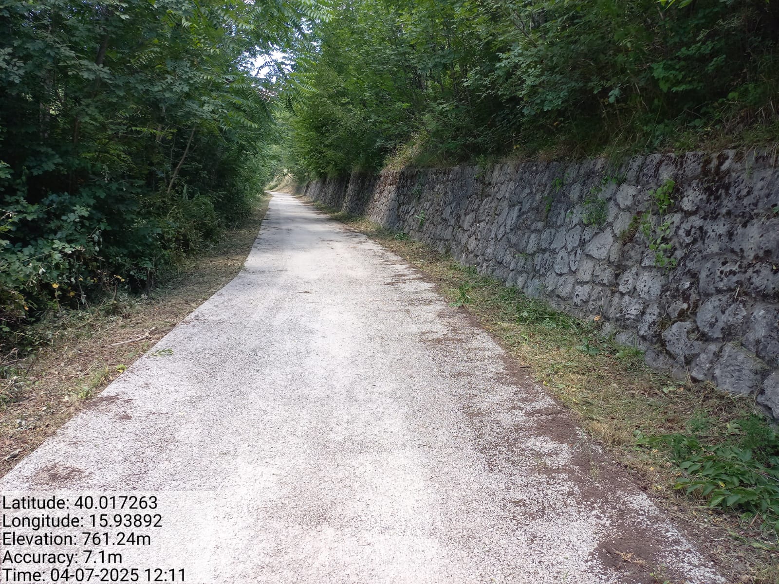 Galleria Fotografica Immagine