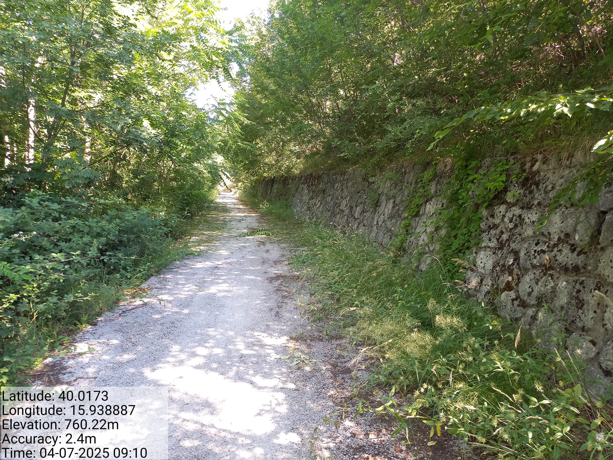 Galleria Fotografica Immagine