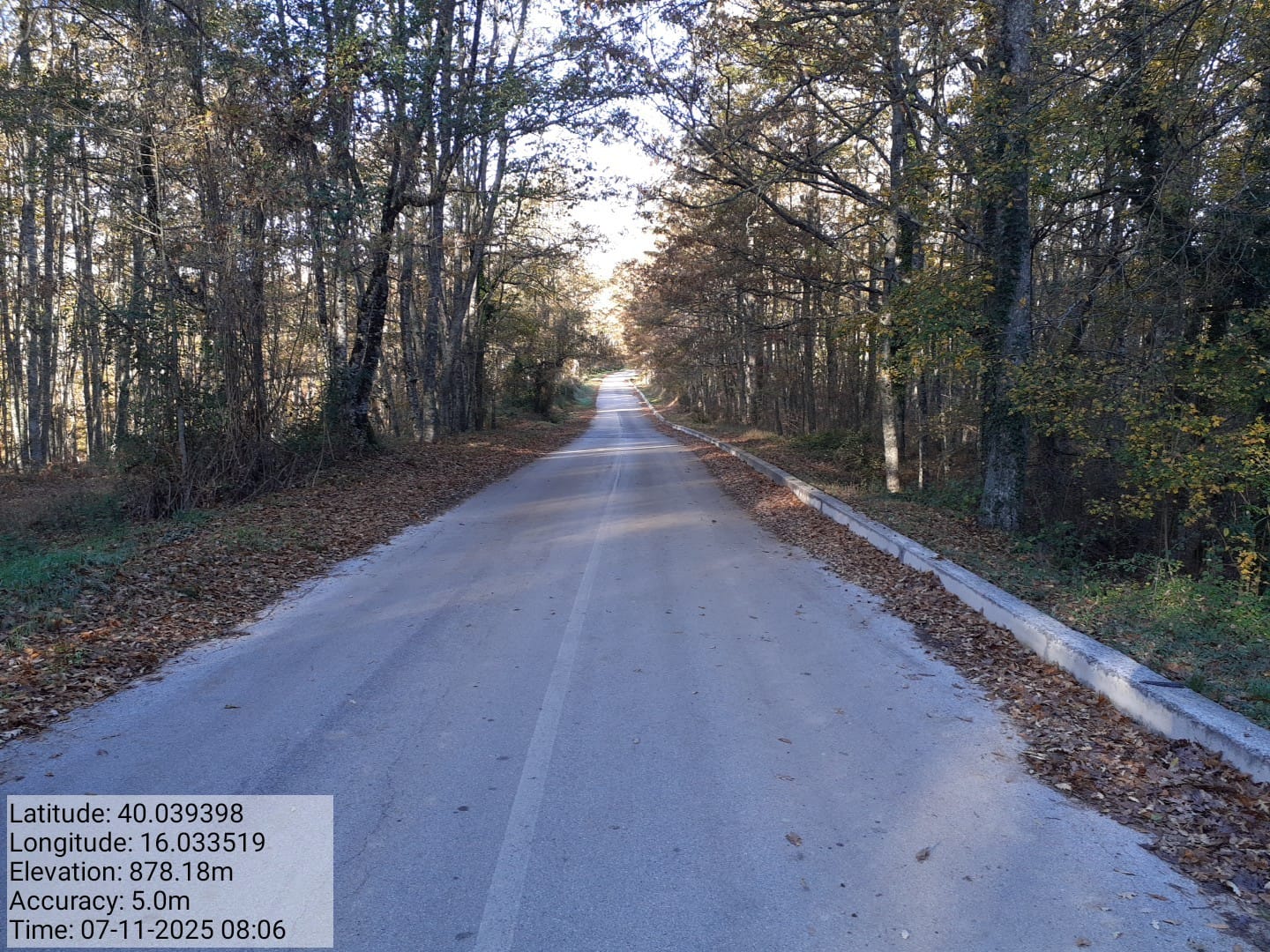 Galleria Fotografica Immagine