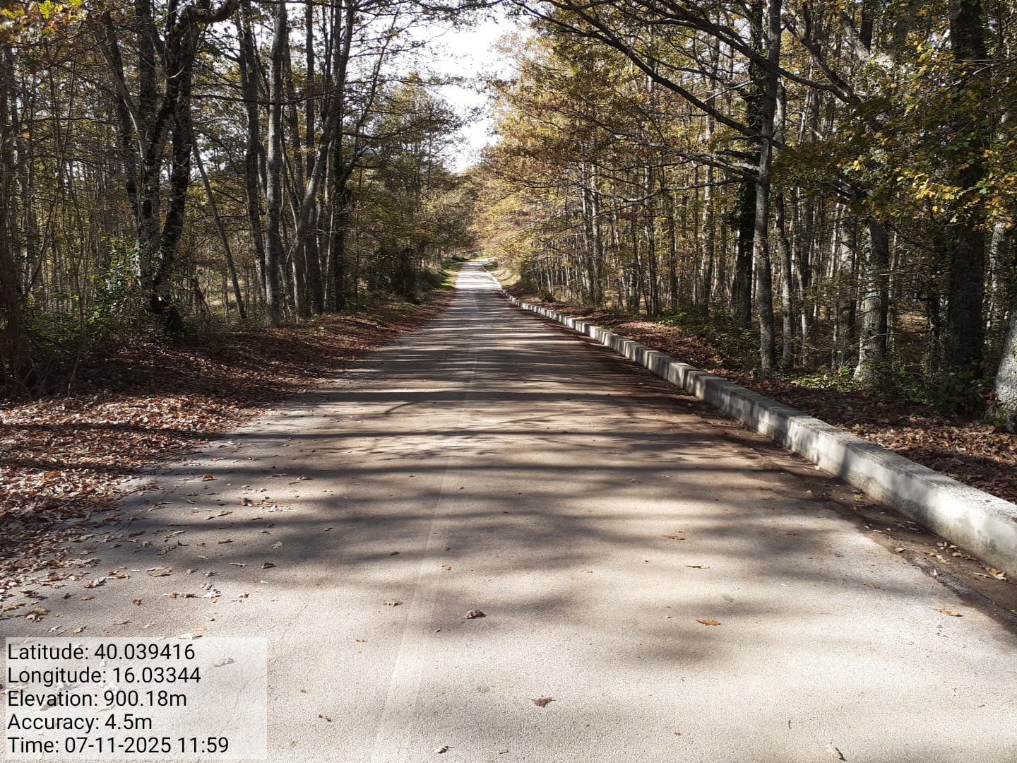 Galleria Fotografica Immagine