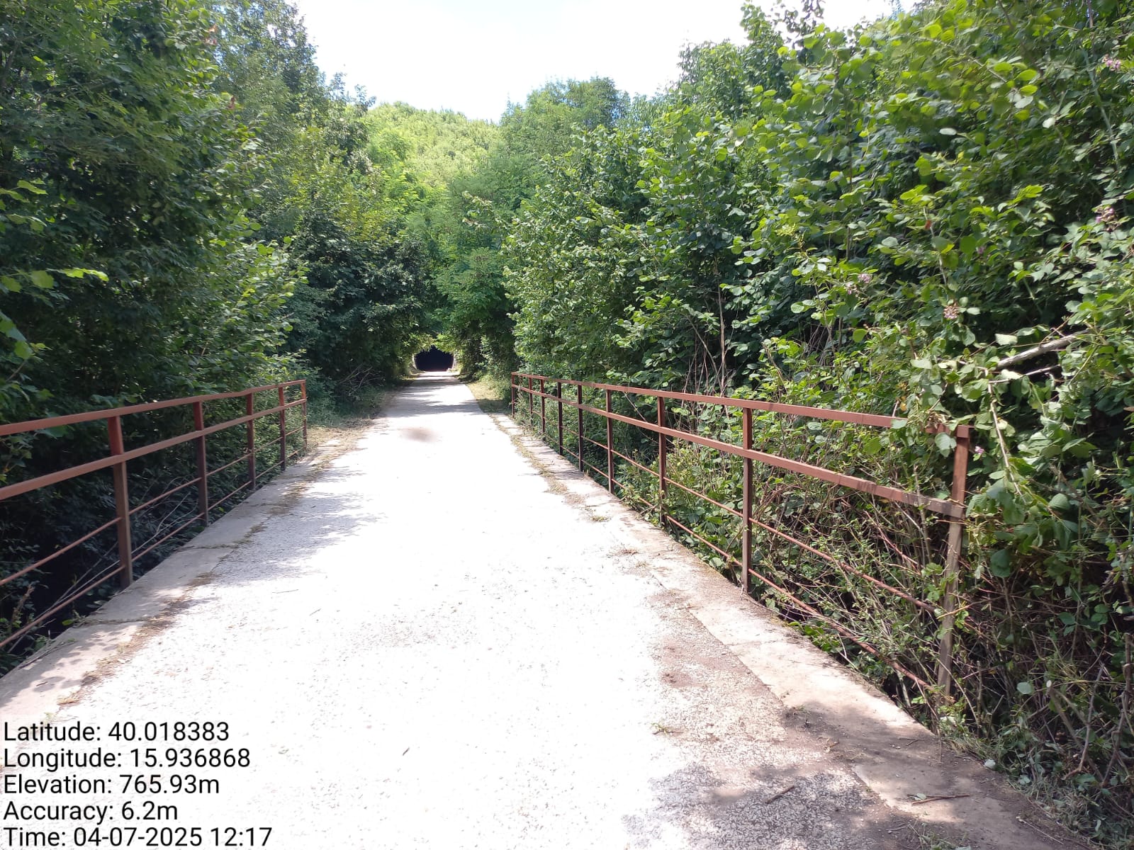 Galleria Fotografica Immagine