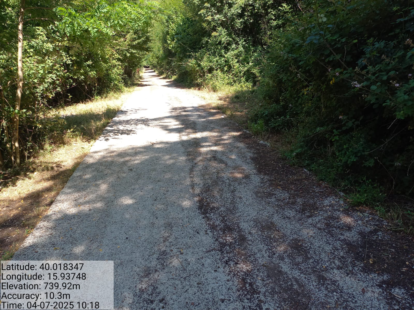 Galleria Fotografica Immagine