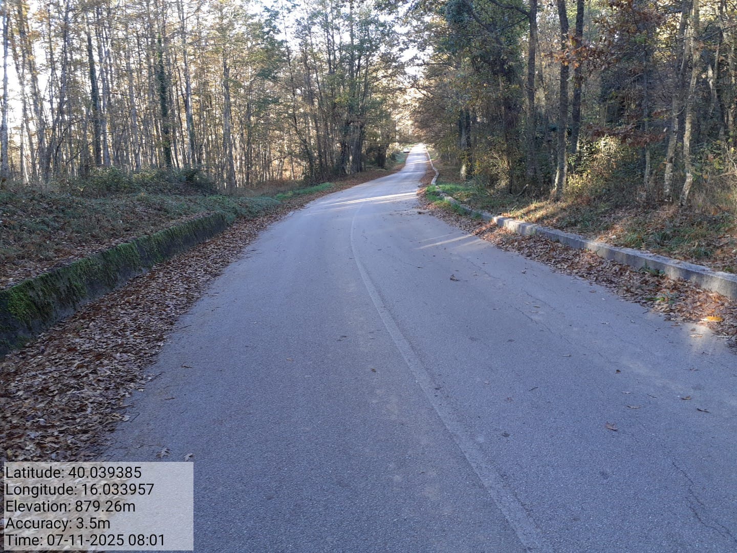 Galleria Fotografica Immagine