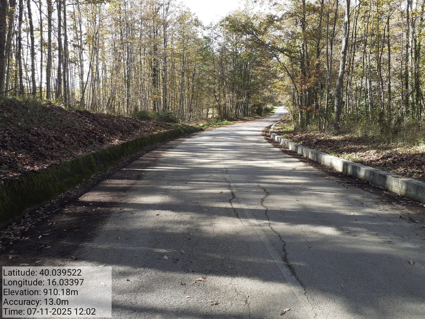 Galleria Fotografica Immagine