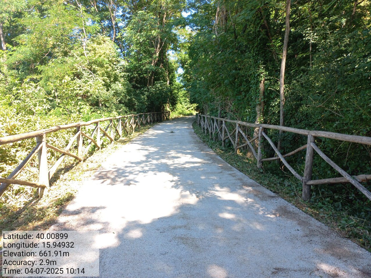 Galleria Fotografica Immagine