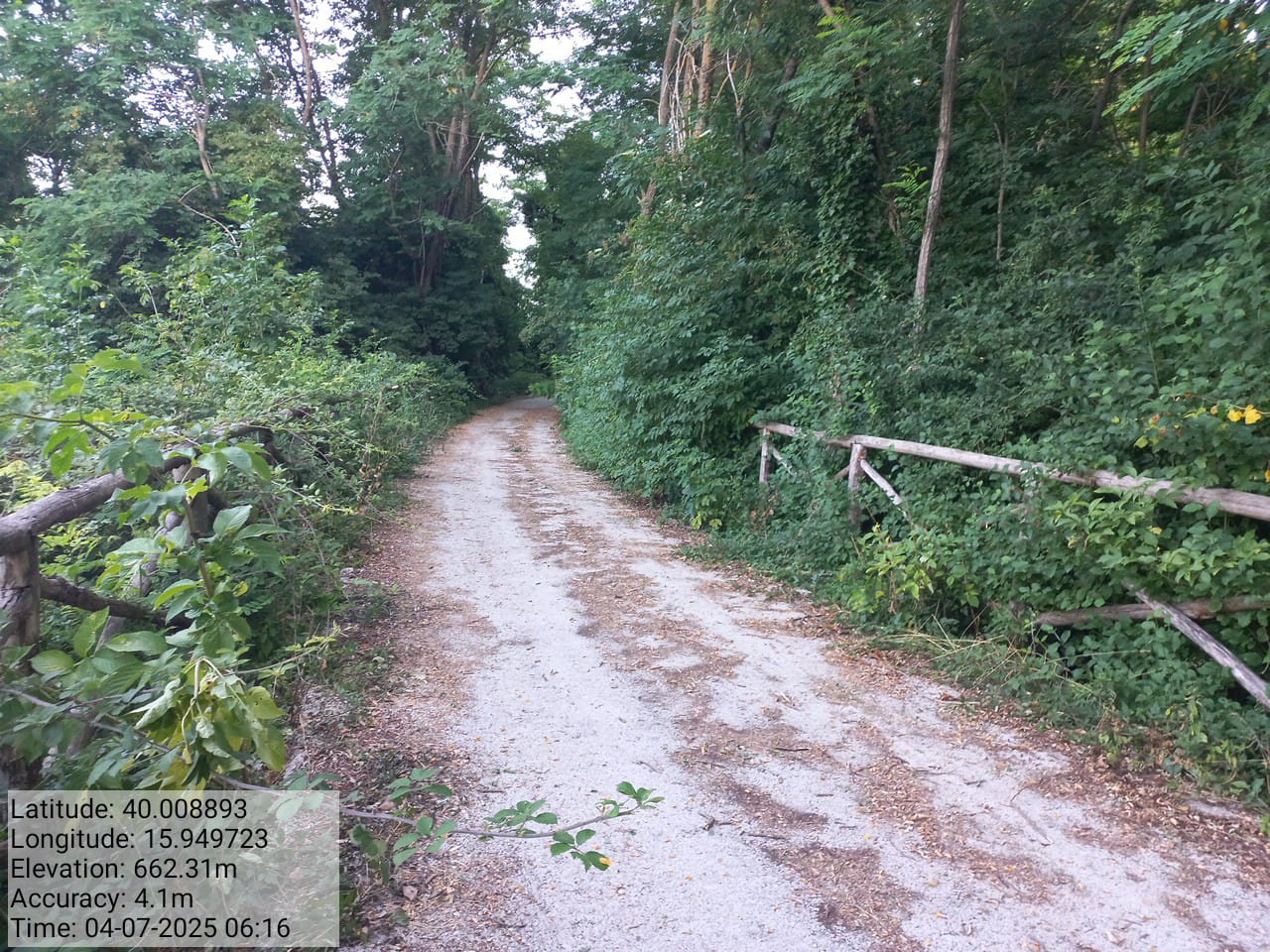 Galleria Fotografica Immagine