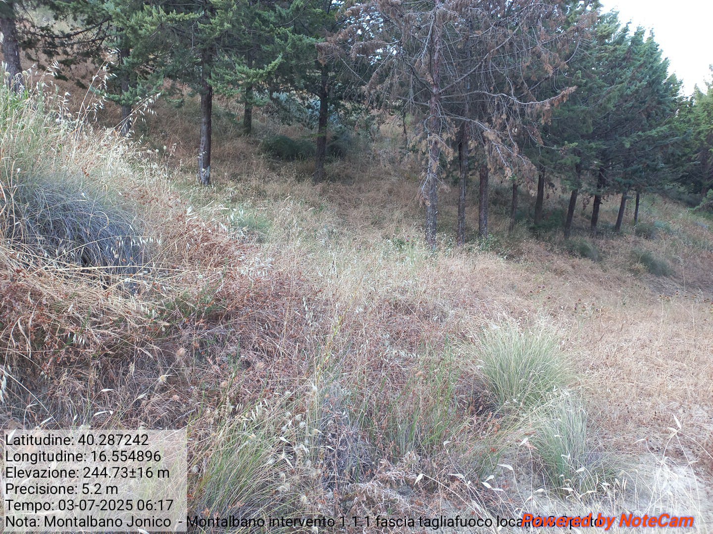 Galleria Fotografica Immagine