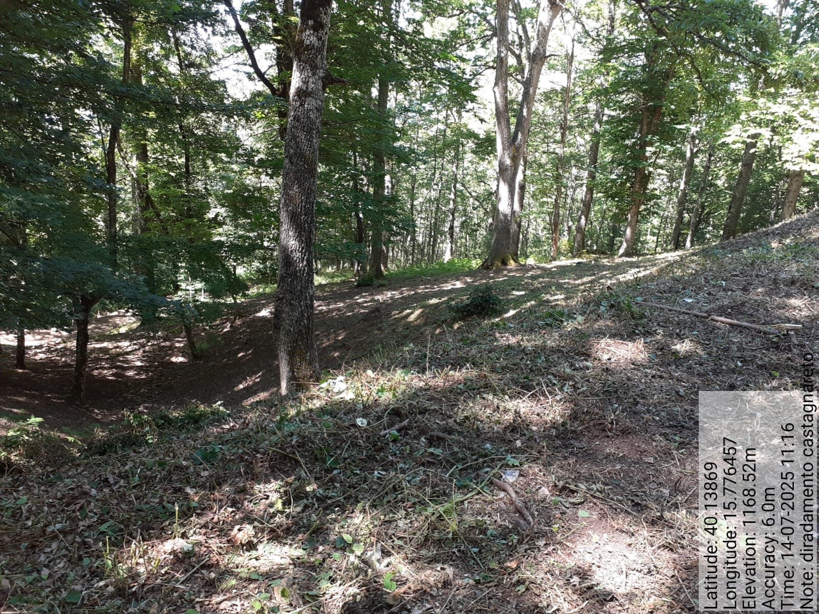 Galleria Fotografica Immagine