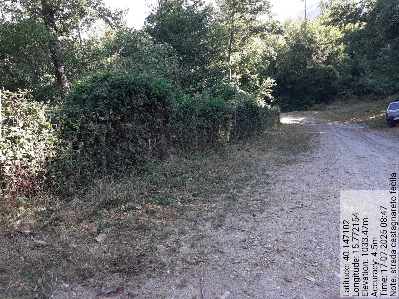 Galleria Fotografica Immagine