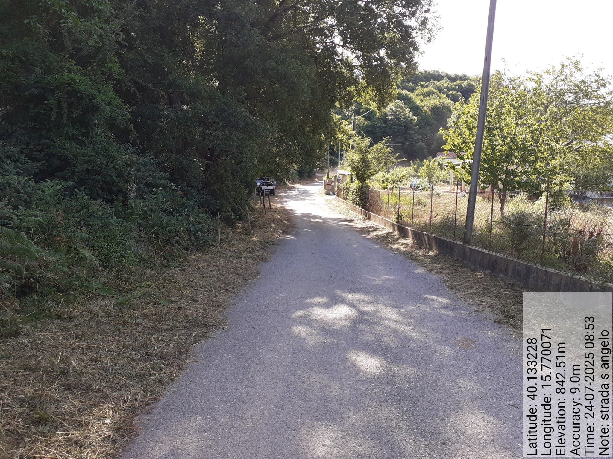 Galleria Fotografica Immagine