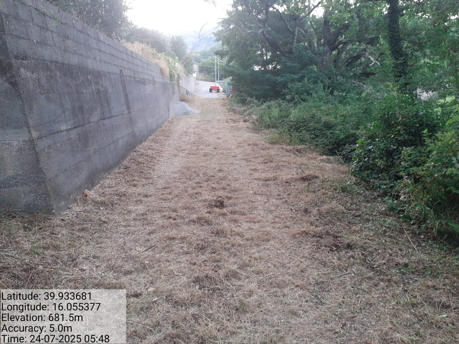 Galleria Fotografica Immagine