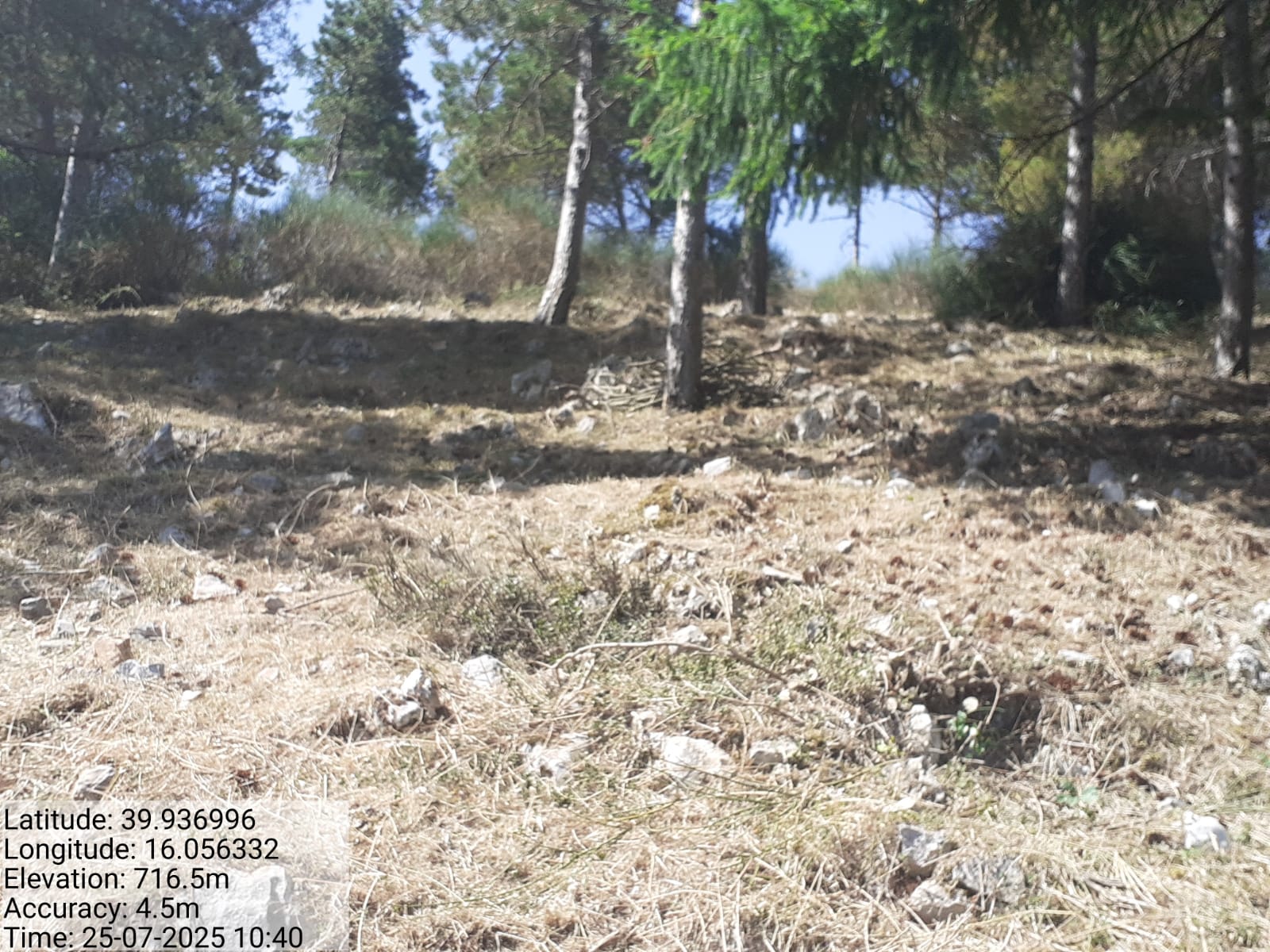 Galleria Fotografica Immagine