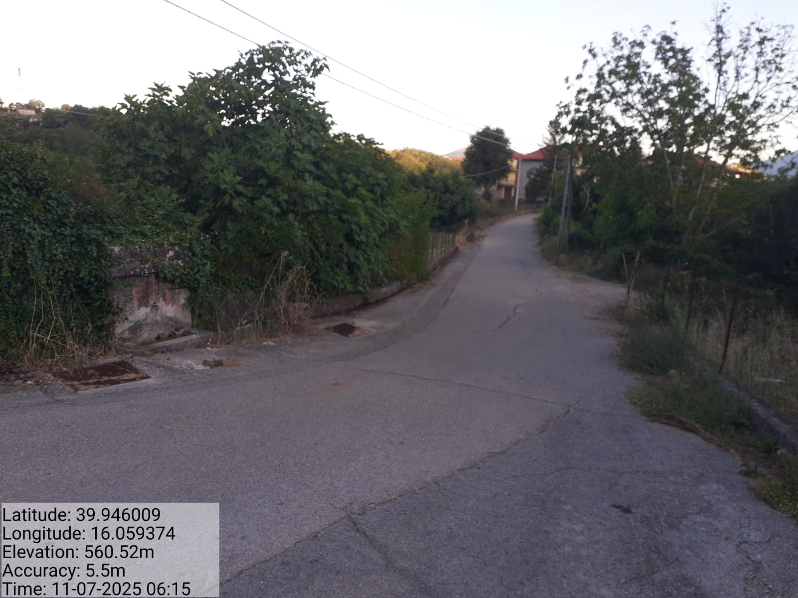 Galleria Fotografica Immagine