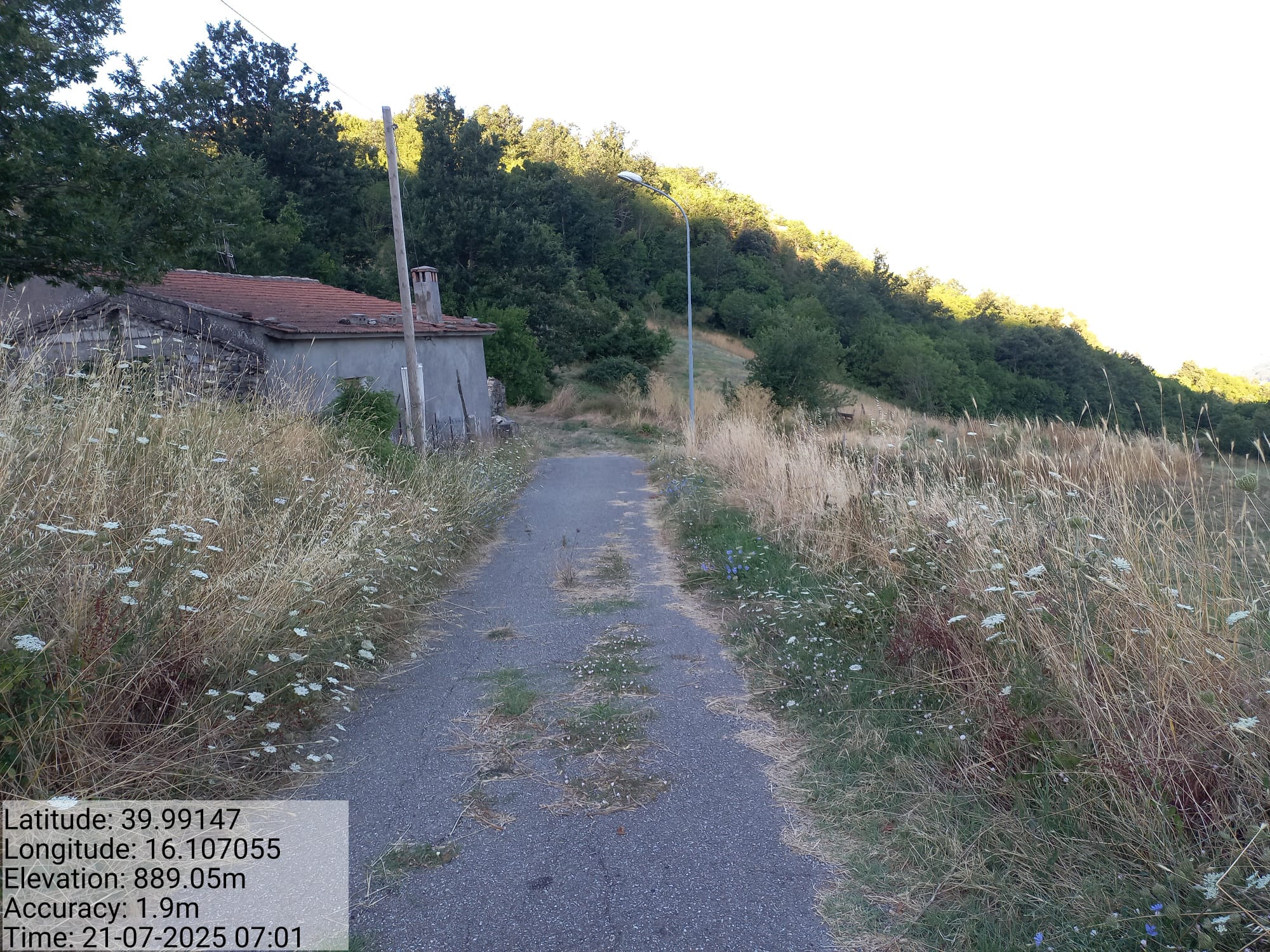 Galleria Fotografica Immagine