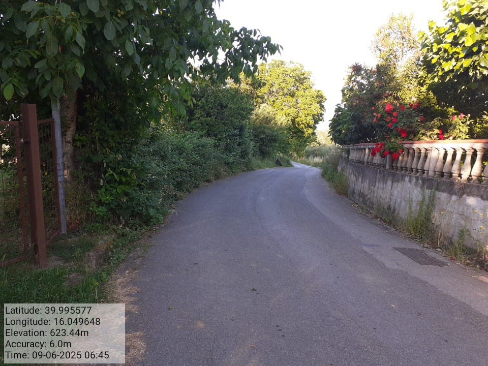 Galleria Fotografica Immagine