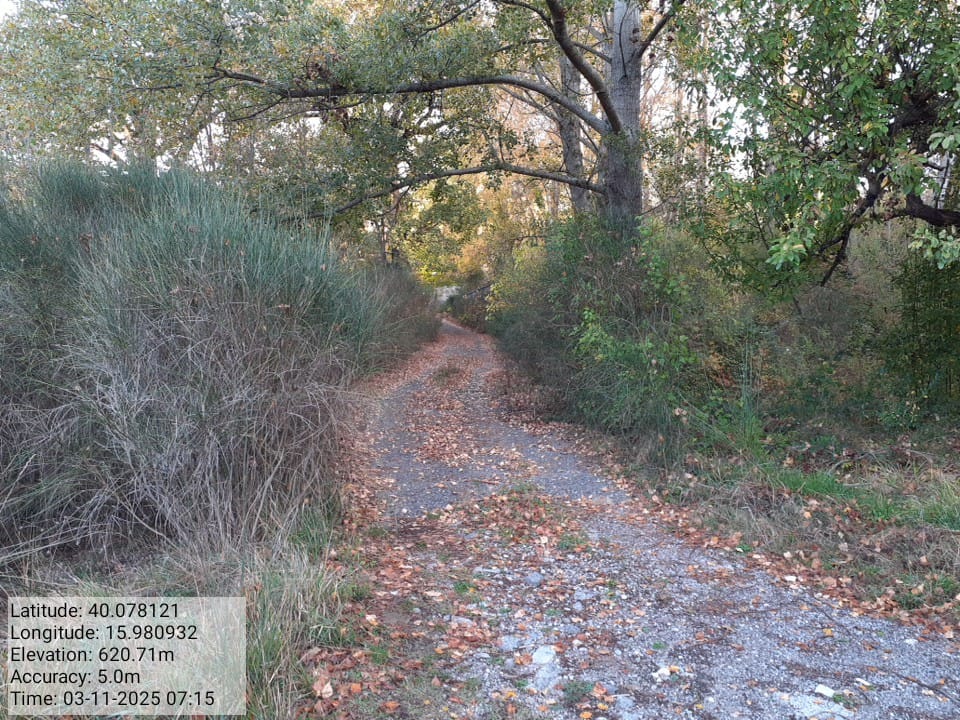 Galleria Fotografica Immagine