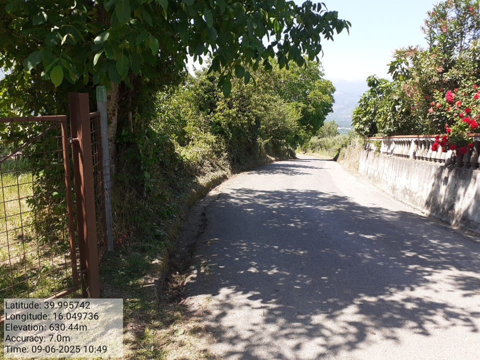 Galleria Fotografica Immagine