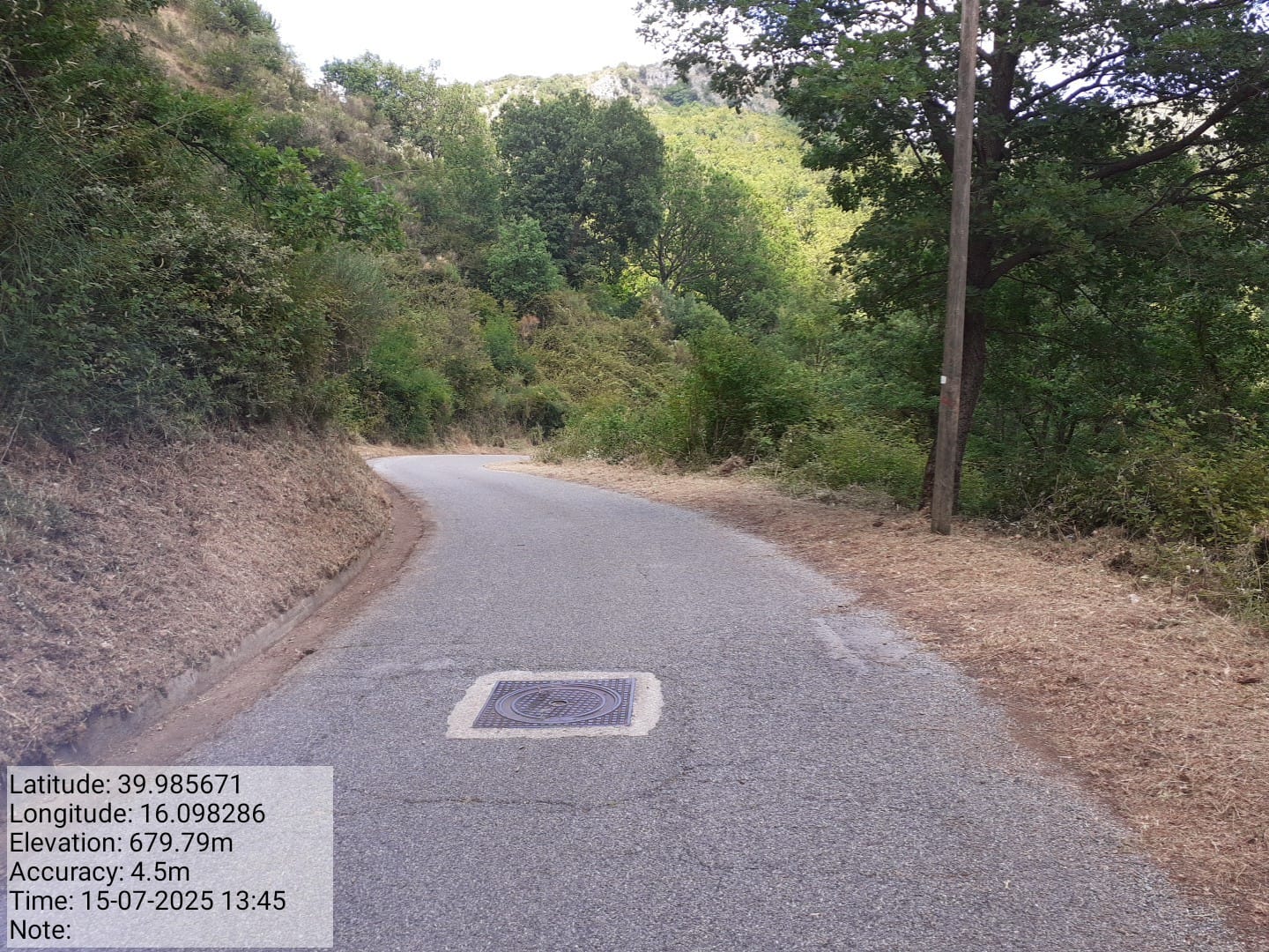 Galleria Fotografica Immagine