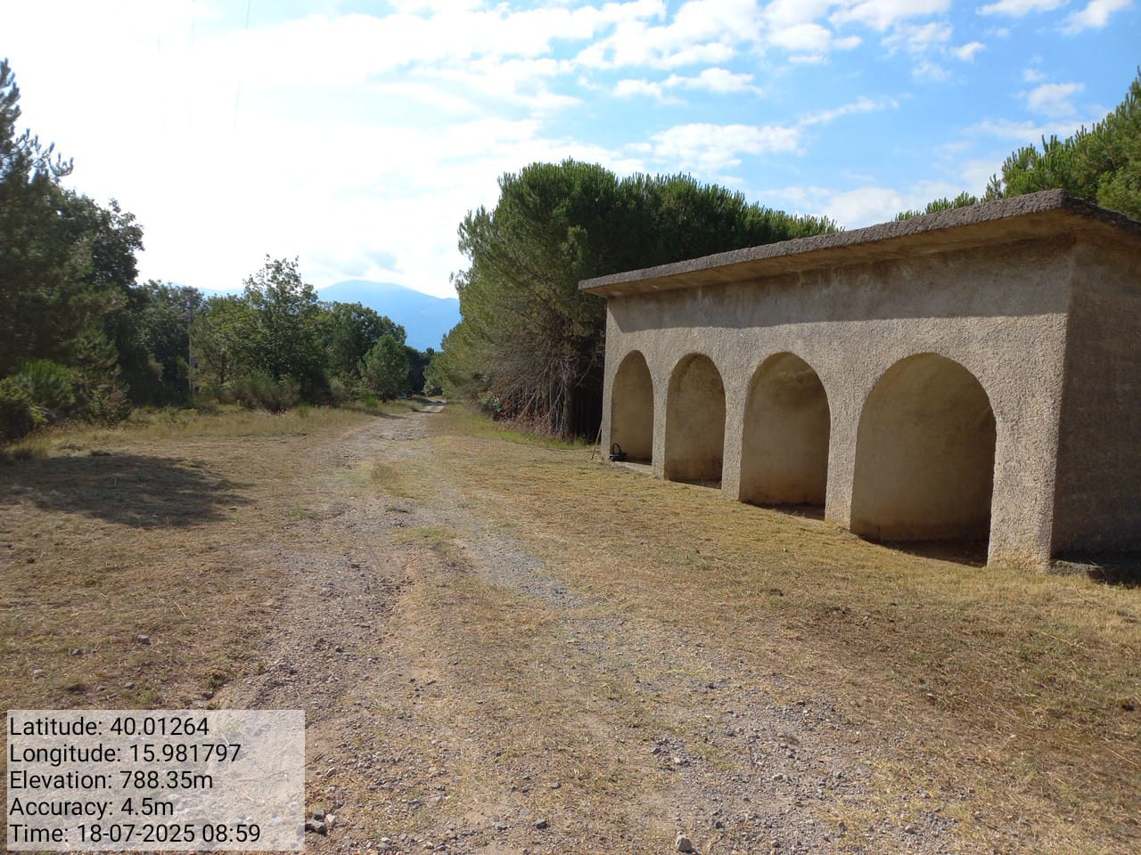 Galleria Fotografica Immagine