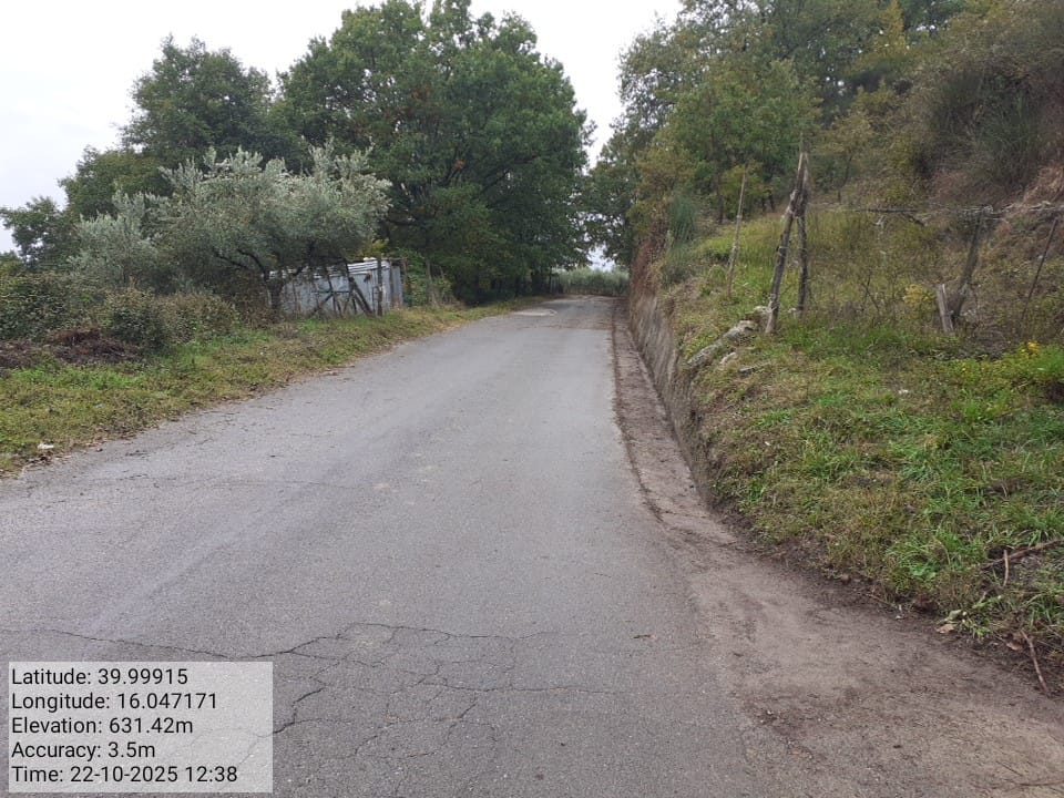 Galleria Fotografica Immagine