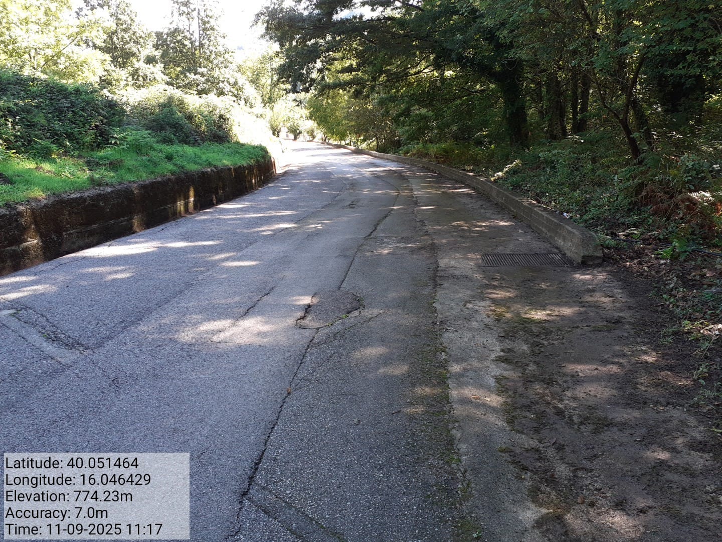 Galleria Fotografica Immagine