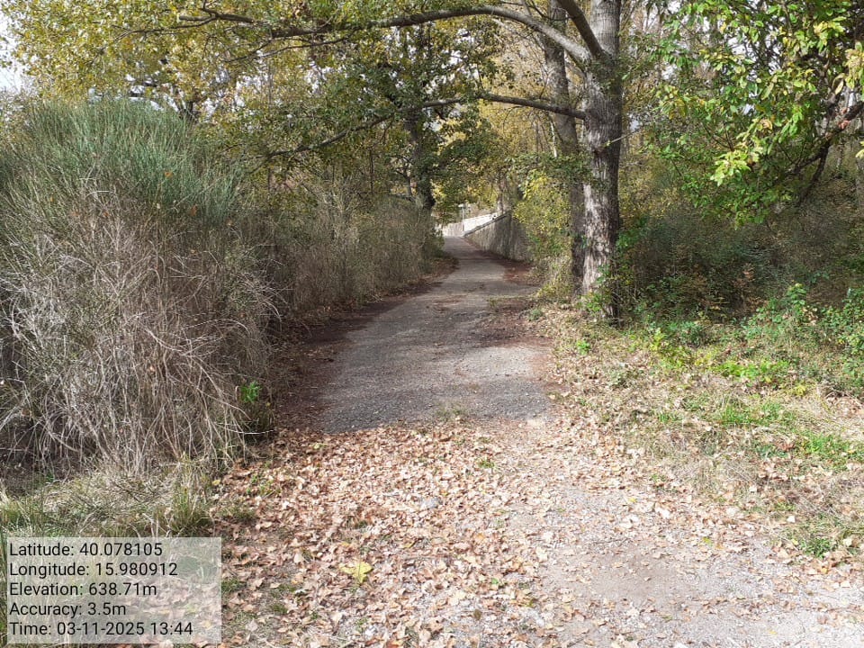 Galleria Fotografica Immagine