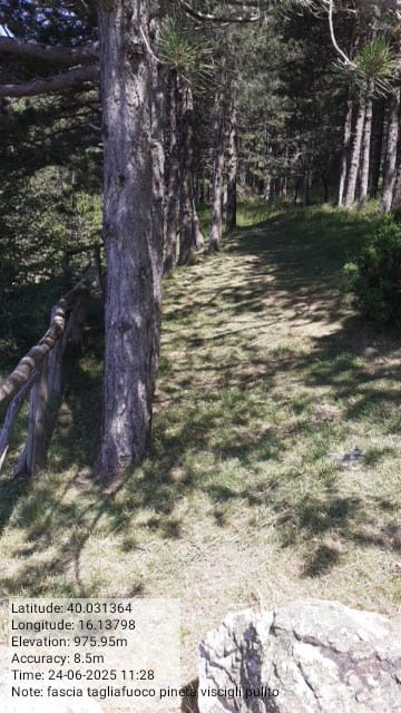 Galleria Fotografica Immagine