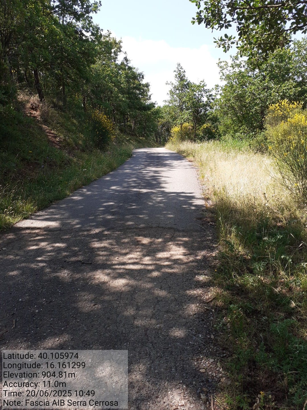 Galleria Fotografica Immagine