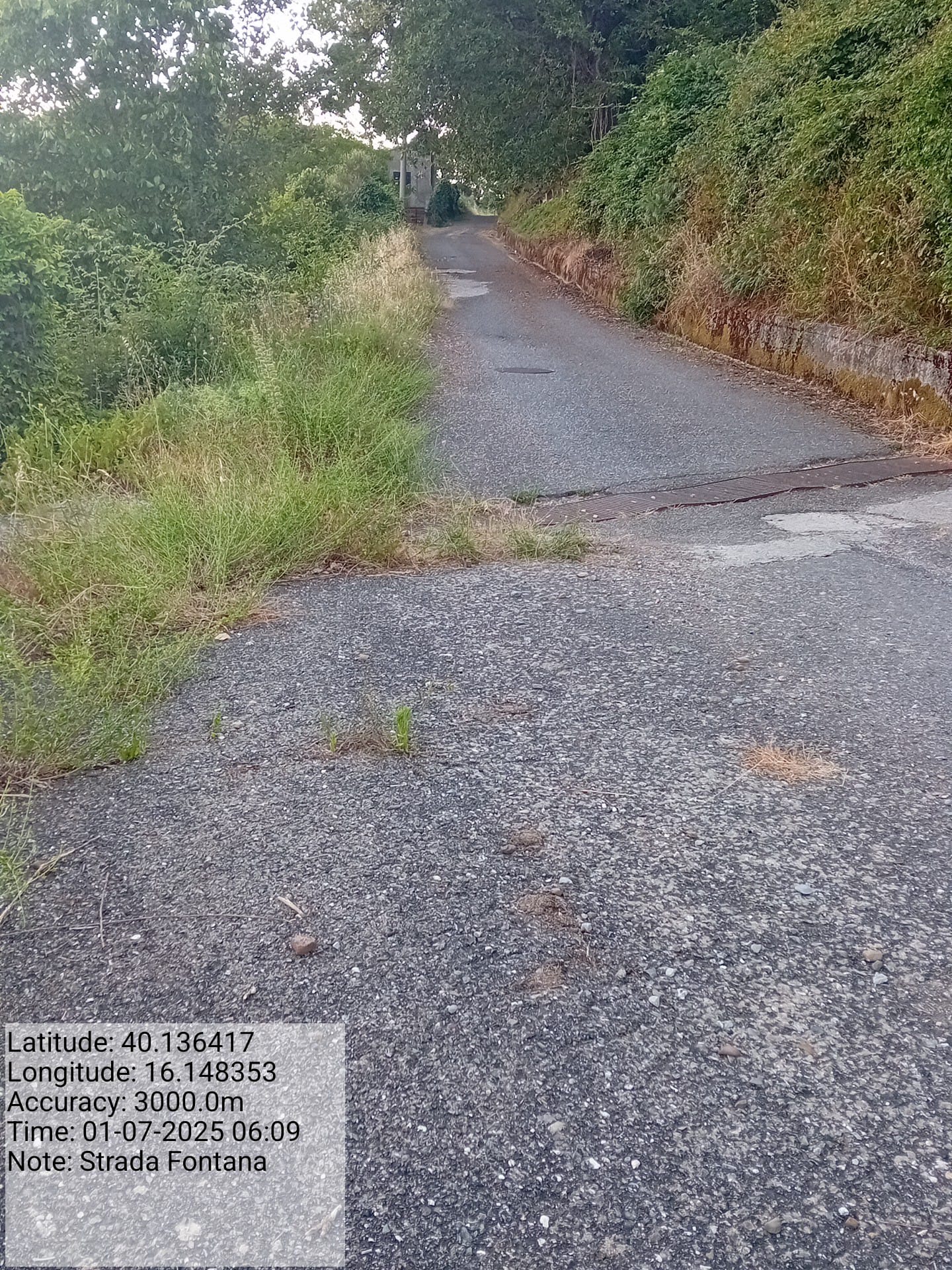 Galleria Fotografica Immagine