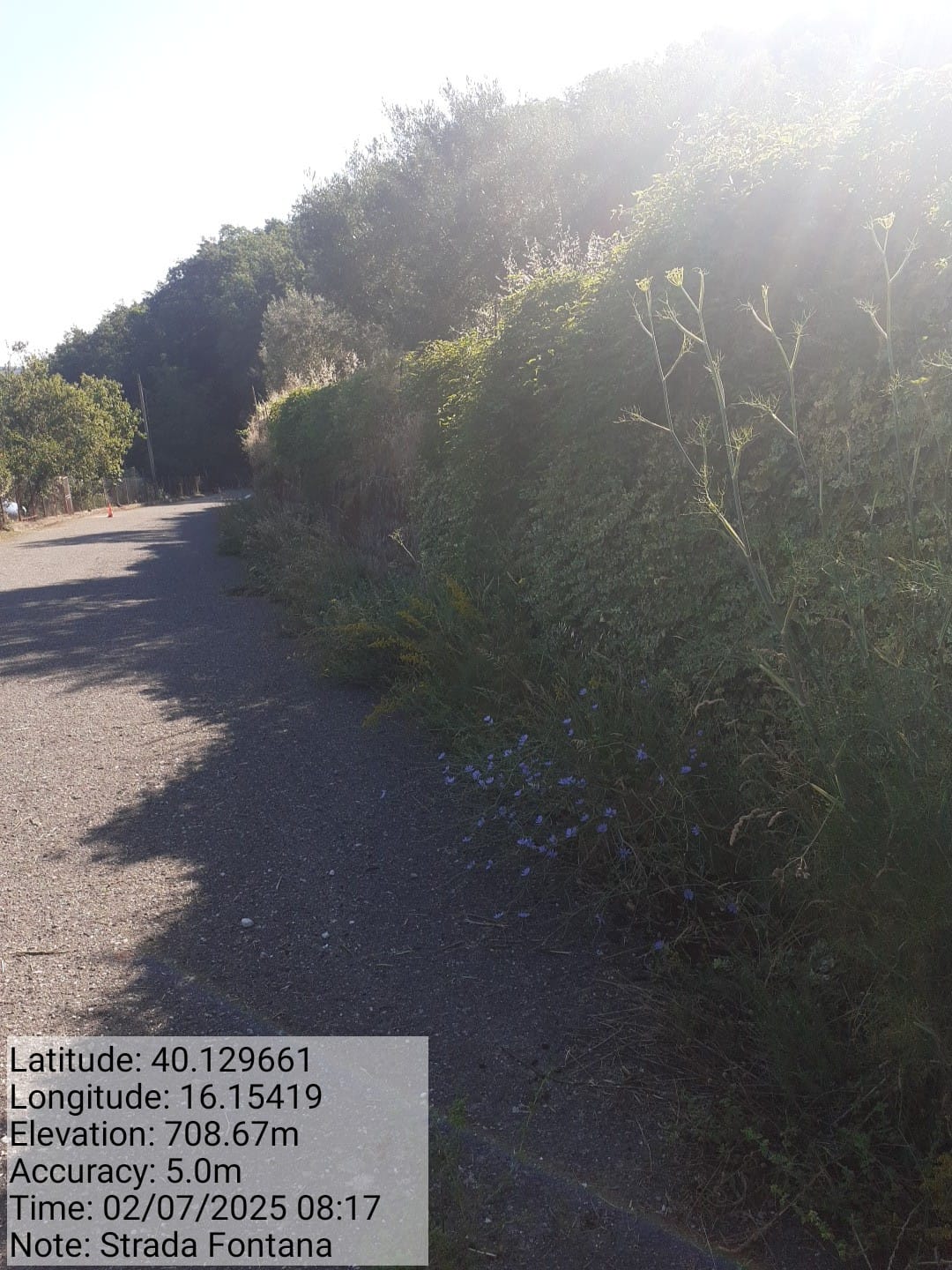 Galleria Fotografica Immagine