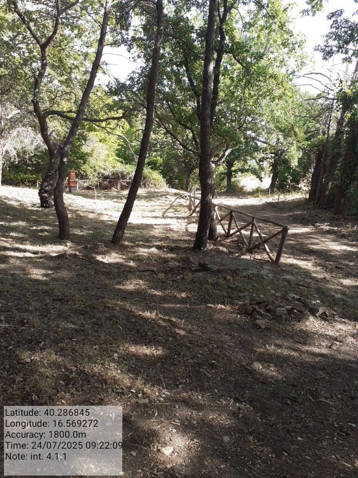 Galleria Fotografica Immagine