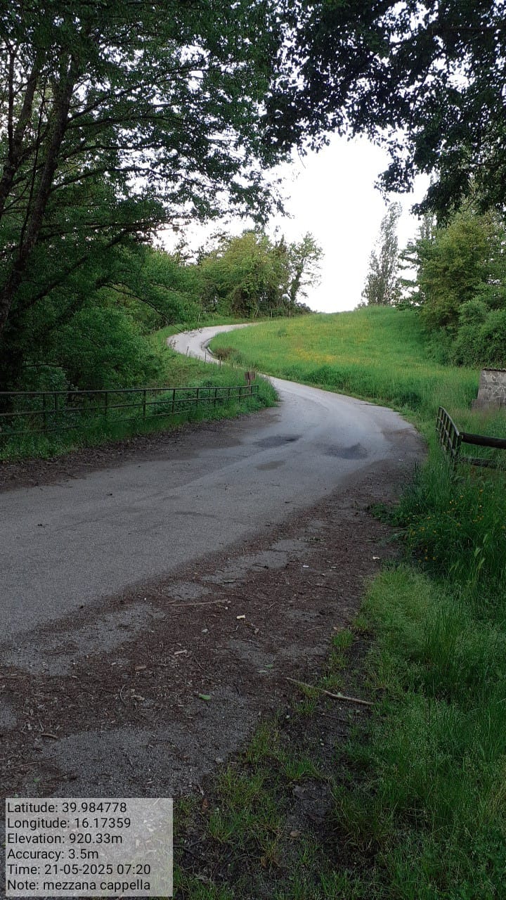 Galleria Fotografica Immagine