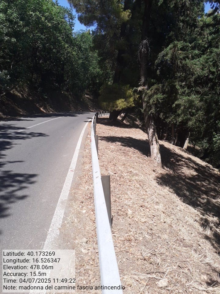 Galleria Fotografica Immagine