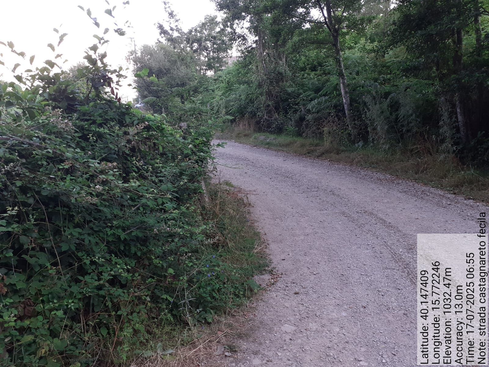 Galleria Fotografica Immagine