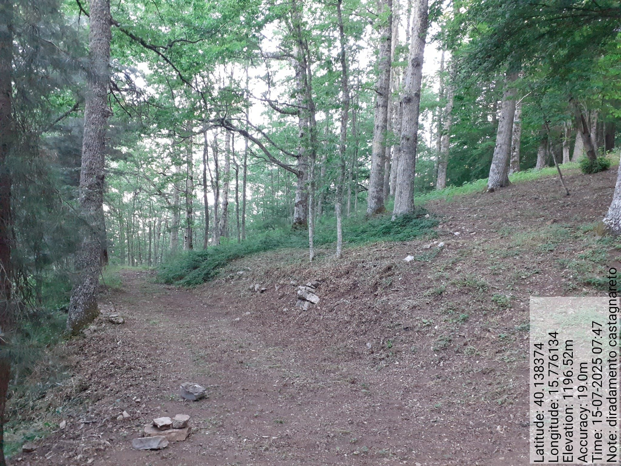 Galleria Fotografica Immagine