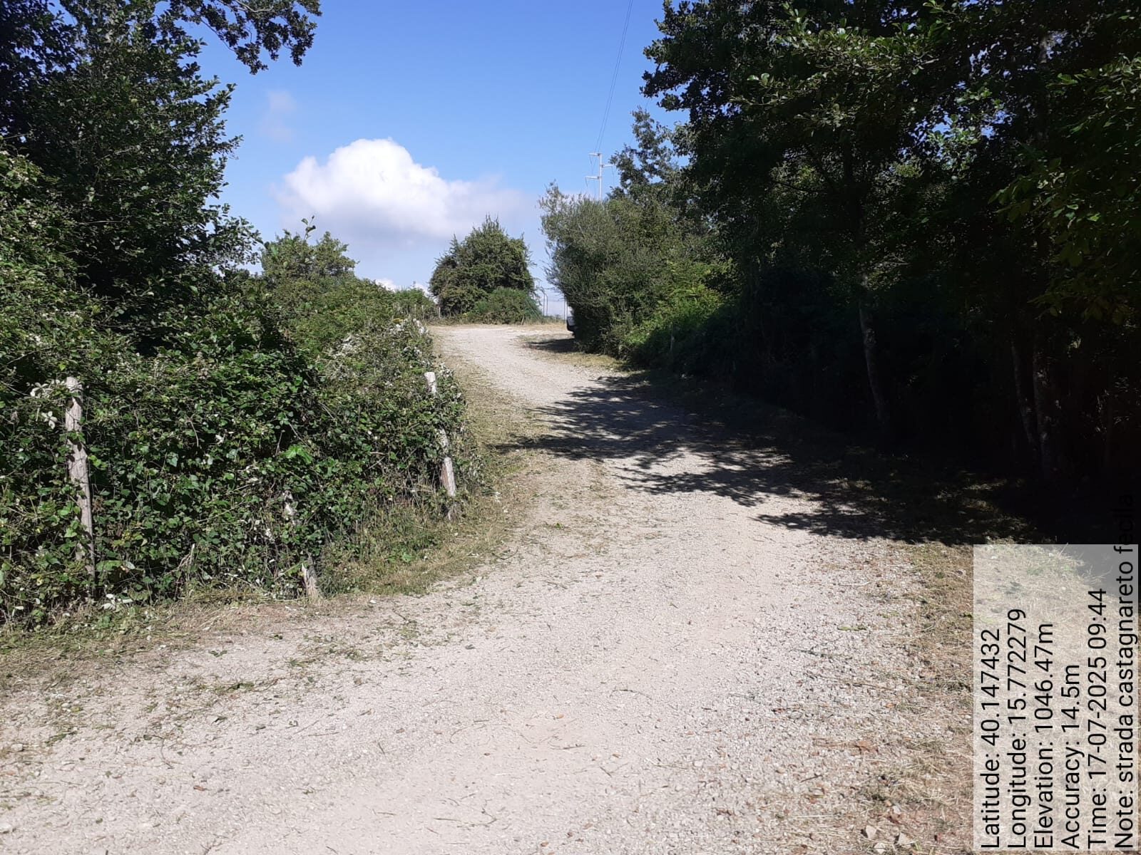 Galleria Fotografica Immagine