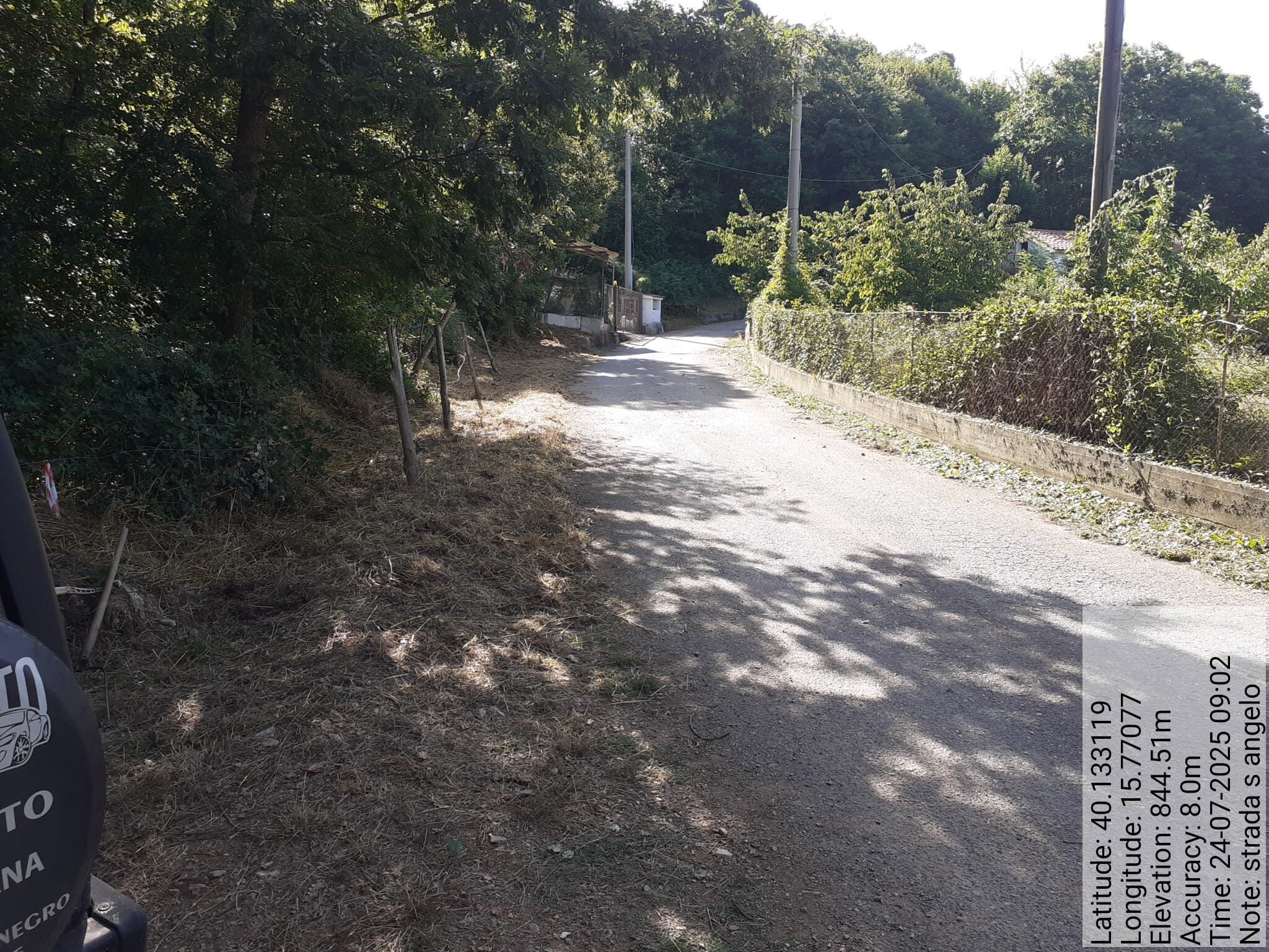 Galleria Fotografica Immagine