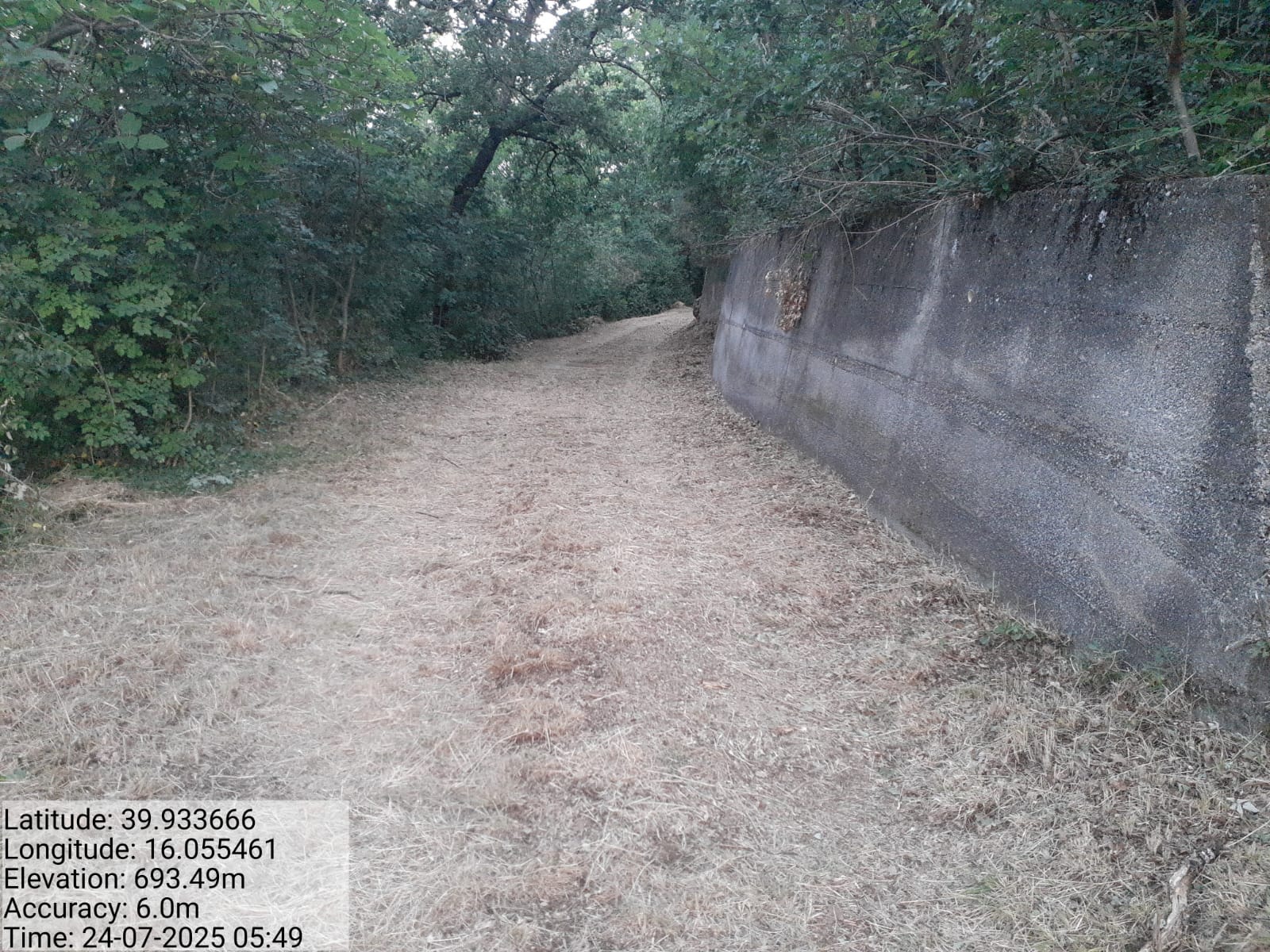 Galleria Fotografica Immagine