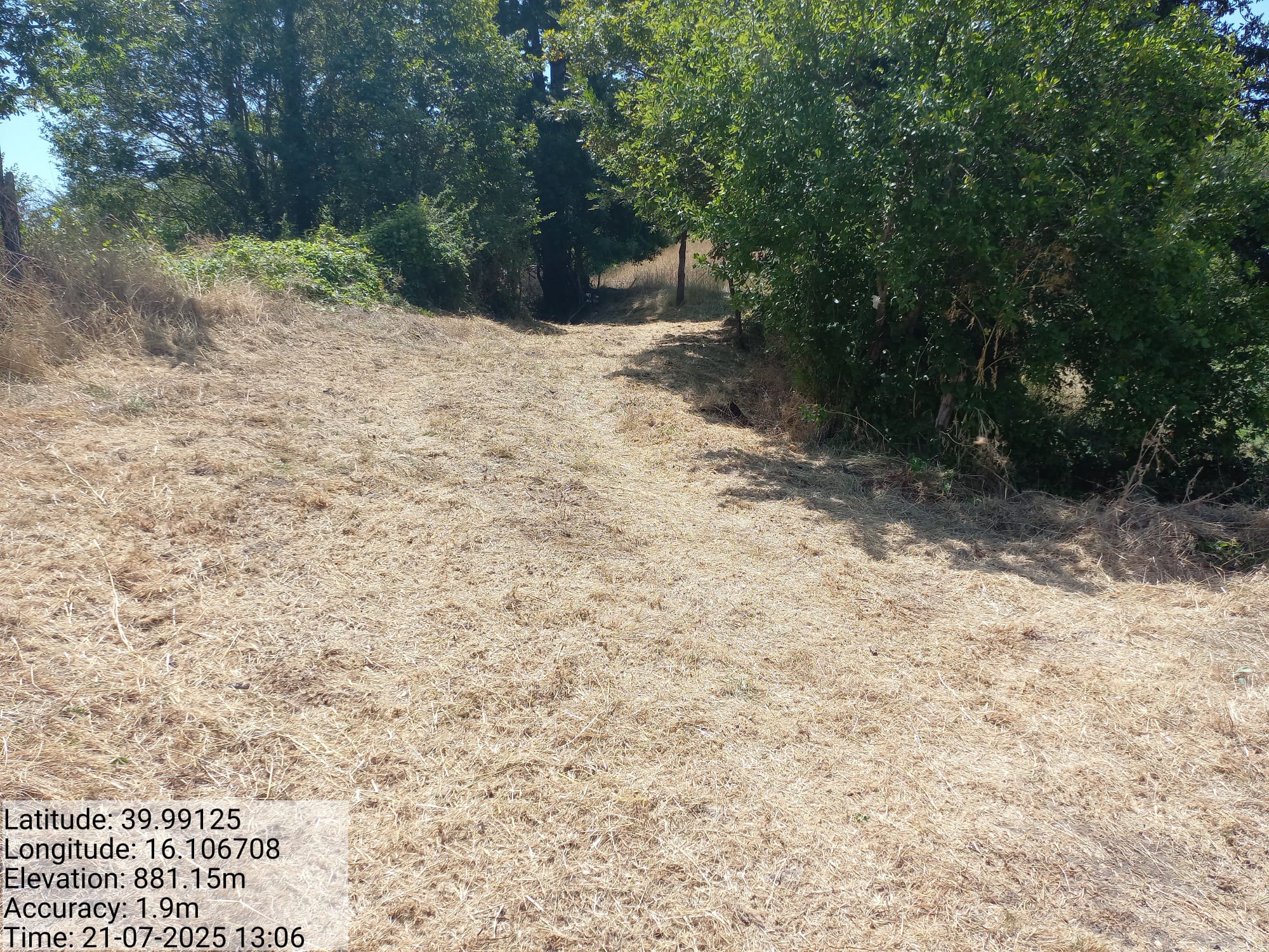 Galleria Fotografica Immagine