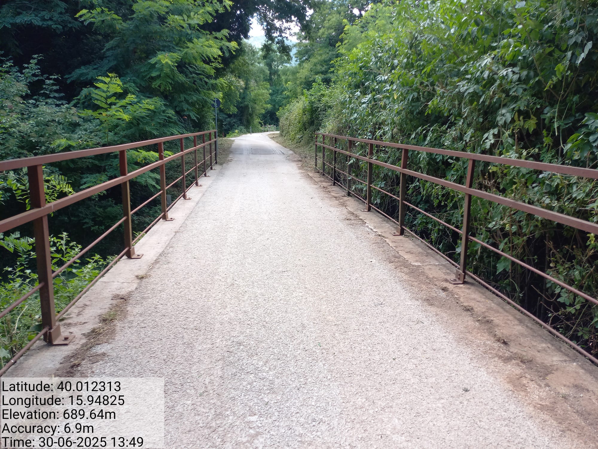 Galleria Fotografica Immagine