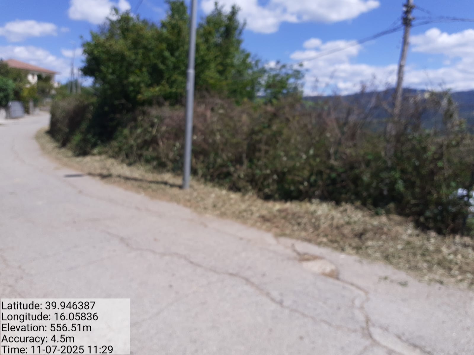 Galleria Fotografica Immagine