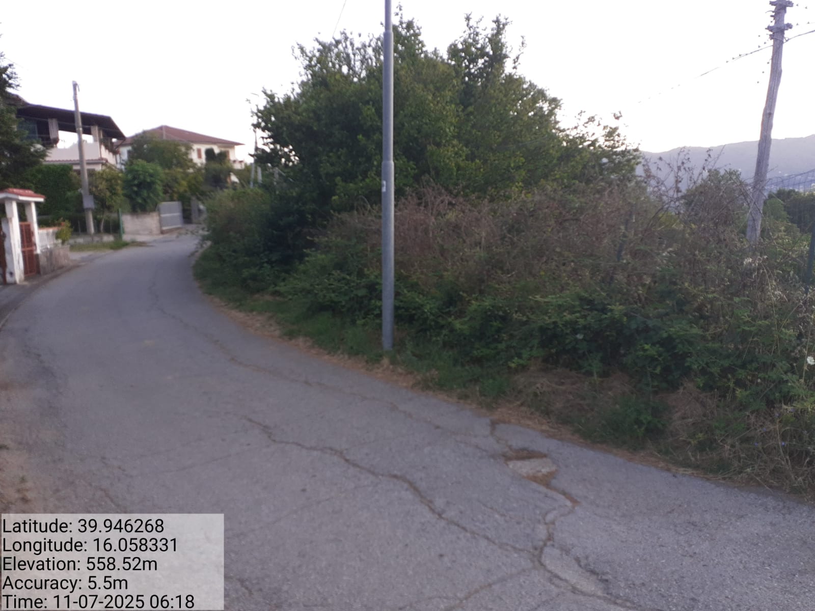 Galleria Fotografica Immagine