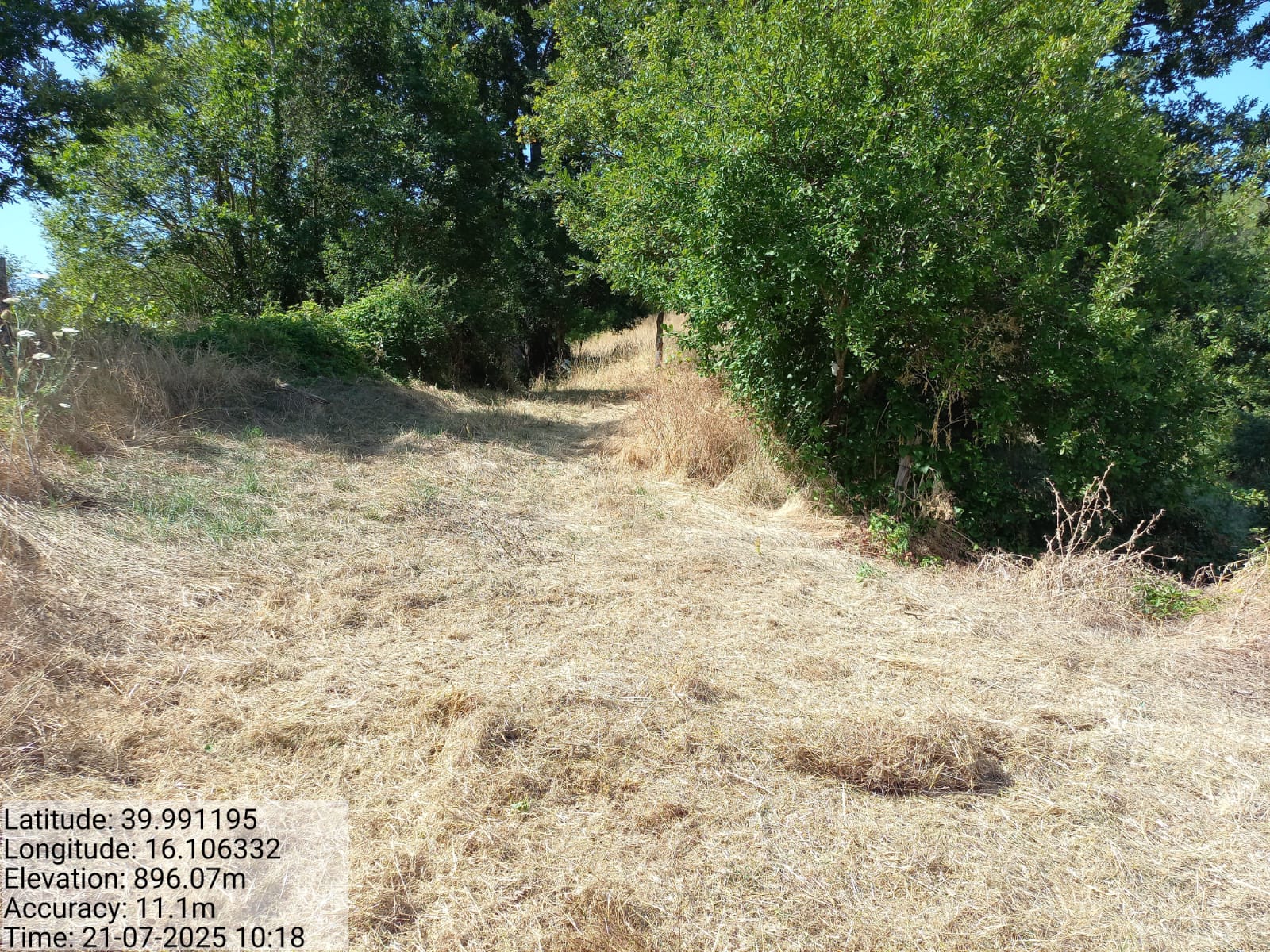 Galleria Fotografica Immagine